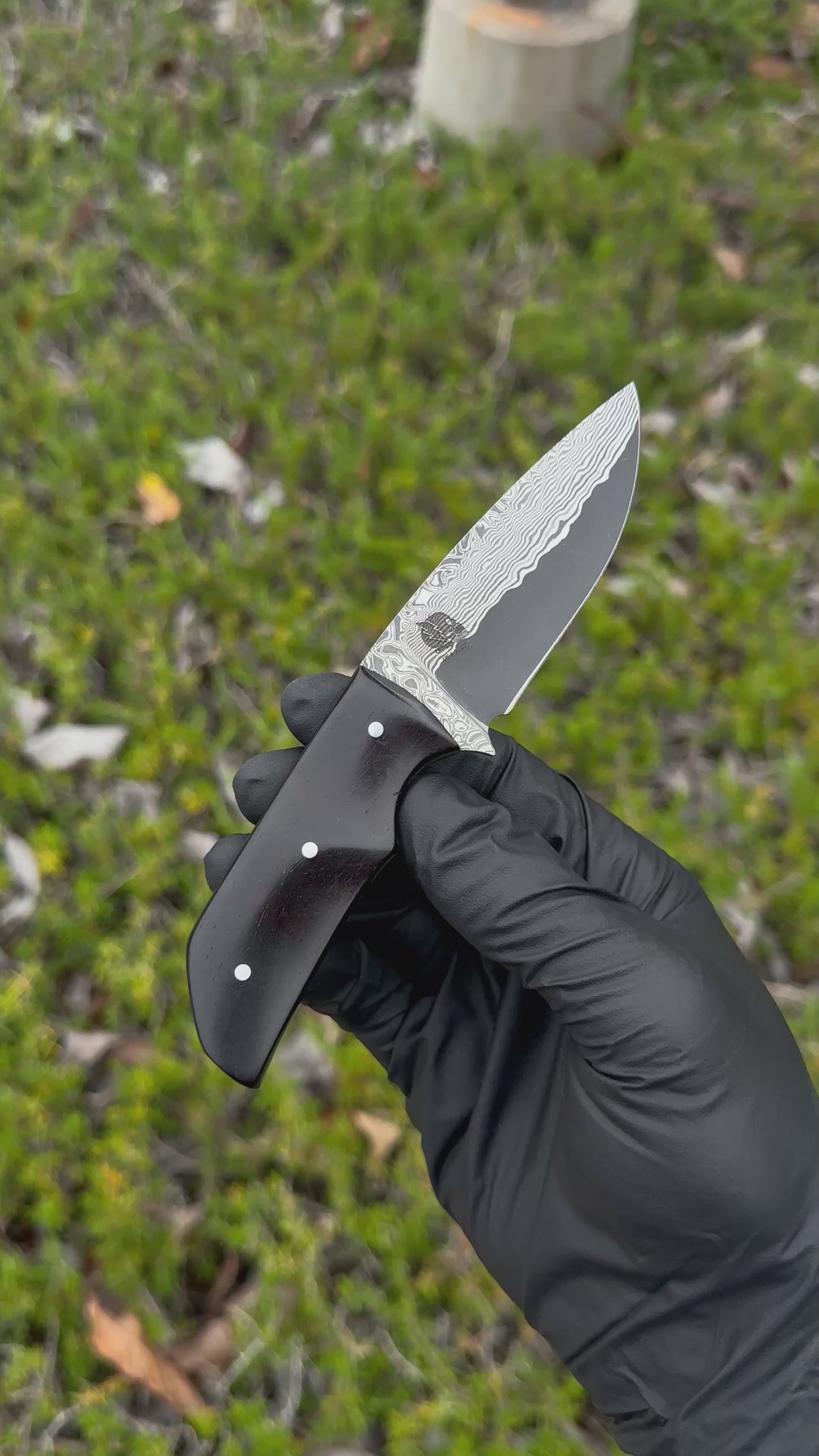 Daytona 1 of 1 Custom - Vegas Forge Stainless Damascus / African Blackwood Handle